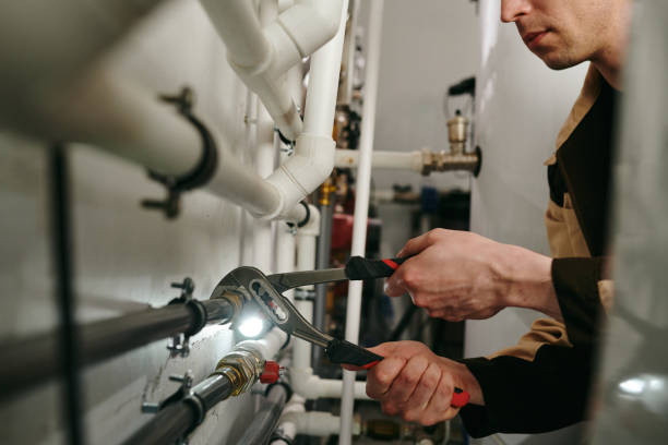Best Shower Repair Services  in Waterloo, NE