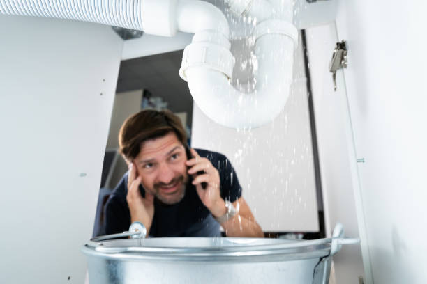 Best Septic Systems  in Waterloo, NE