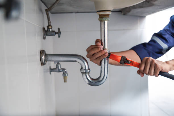 Best Toilet Repair Services  in Waterloo, NE