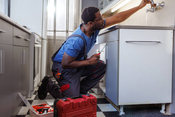 Best Affordable Plumber Near Me  in Waterloo, NE