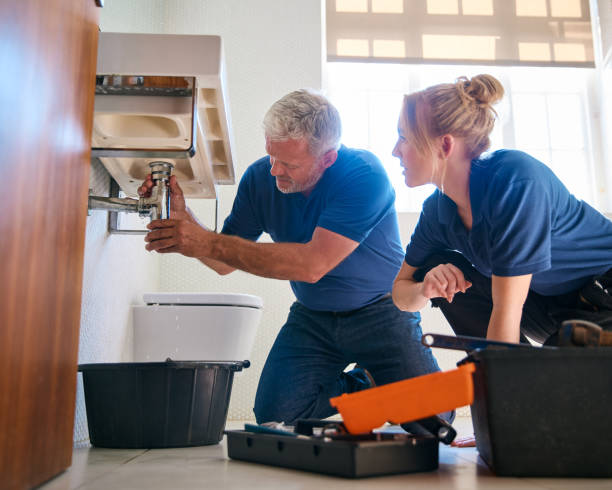 Best Water Softener Installation  in Waterloo, NE
